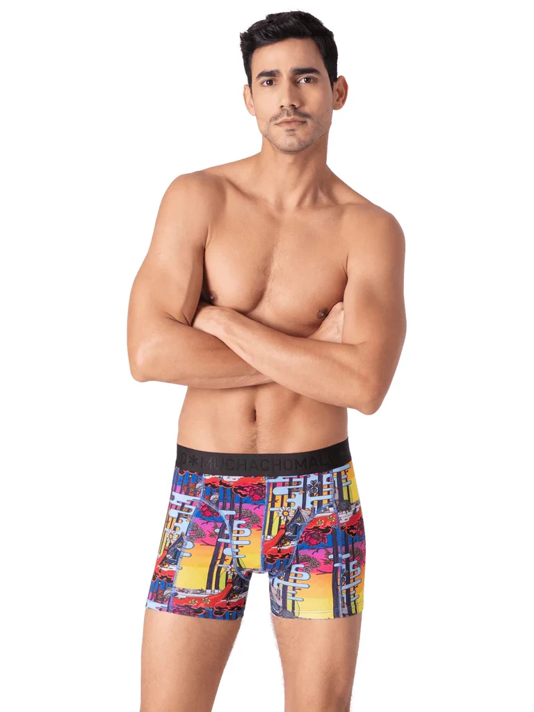 1010 Redridinghodha 04 2PK BOXER PR./PR.  Multi - Image 2