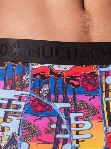 1010 Redridinghodha 04 2PK BOXER PR./PR.  Multi - Image 5