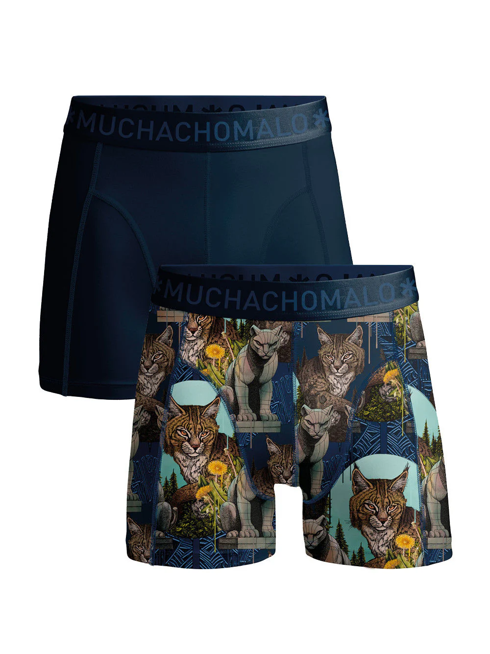Wildcat 2pk Boxer C/m  Print/Solid