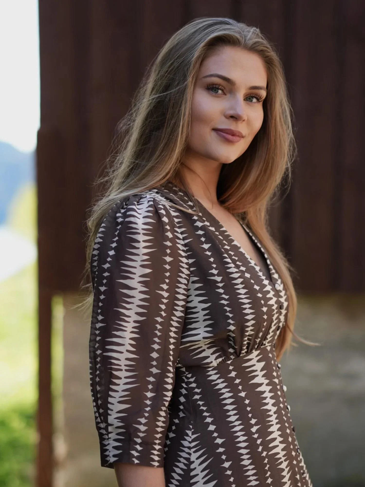 Sorrento Dress  Brown Safari - Image 5
