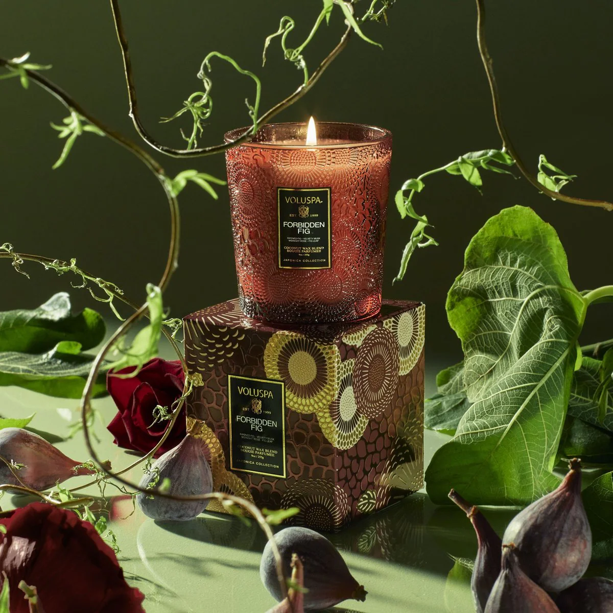 BOXED CANDLE 60TIM  Forbidden Fig - Image 3